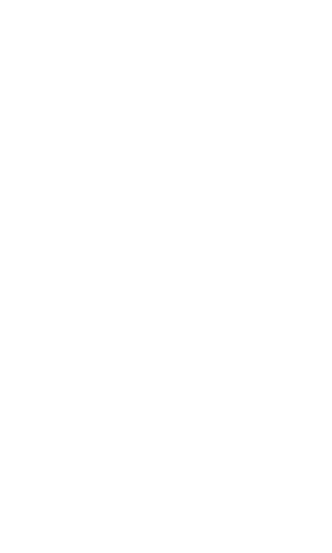 flamme-icon
